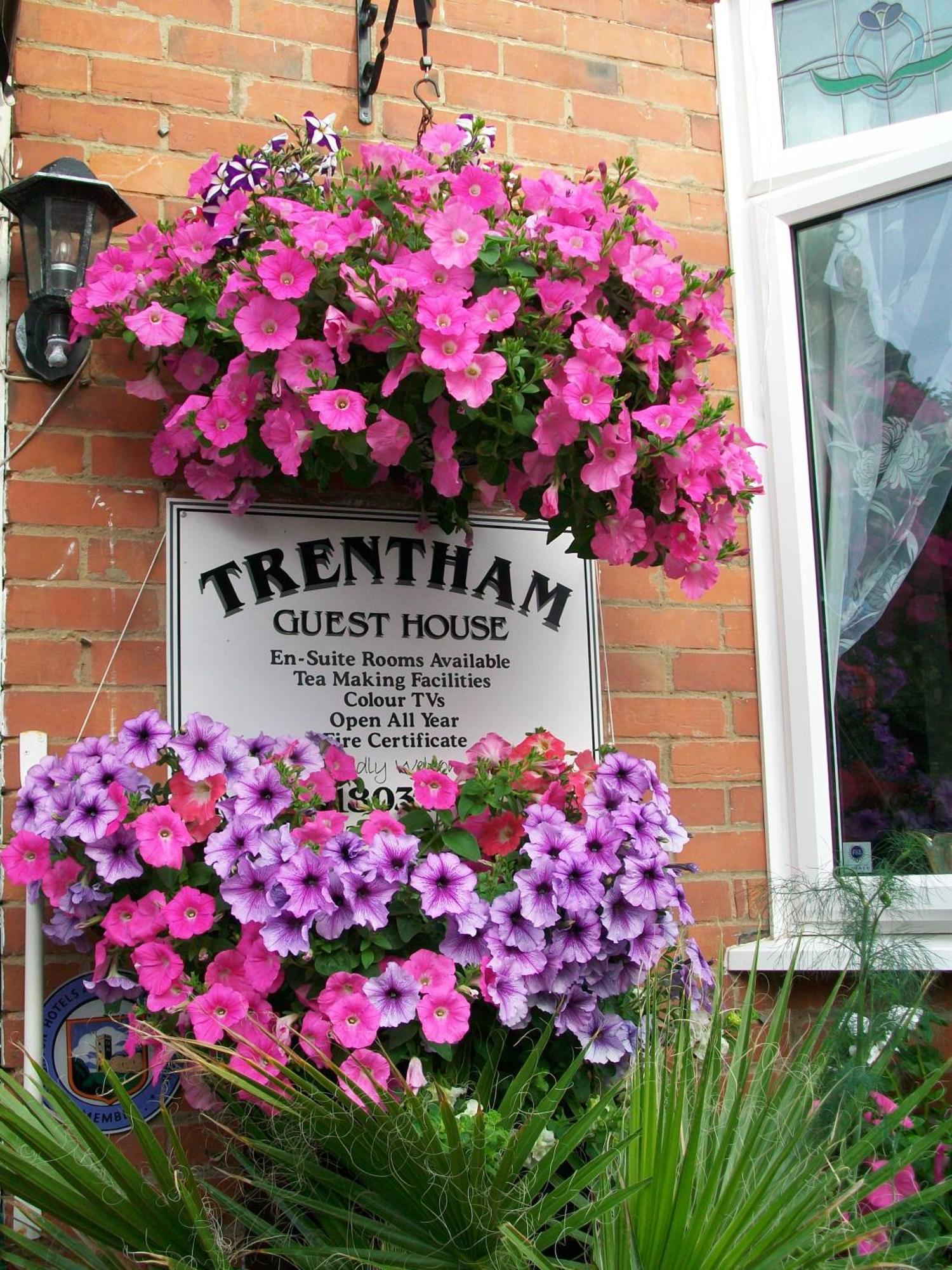 Bed and Breakfast Trentham House Paignton Exterior foto